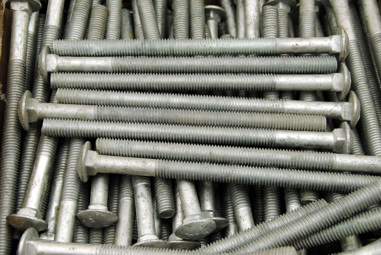 Carriage Head Bolt